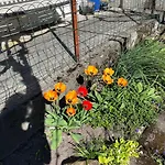 בית נופש Sunnaehoeggli By Interhome