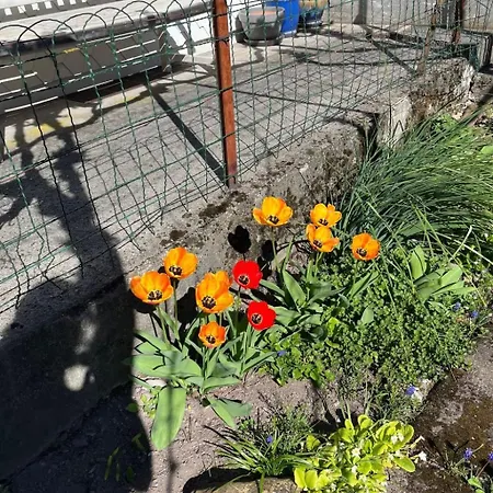 Dom wakacyjny Sunnaehoeggli By Interhome