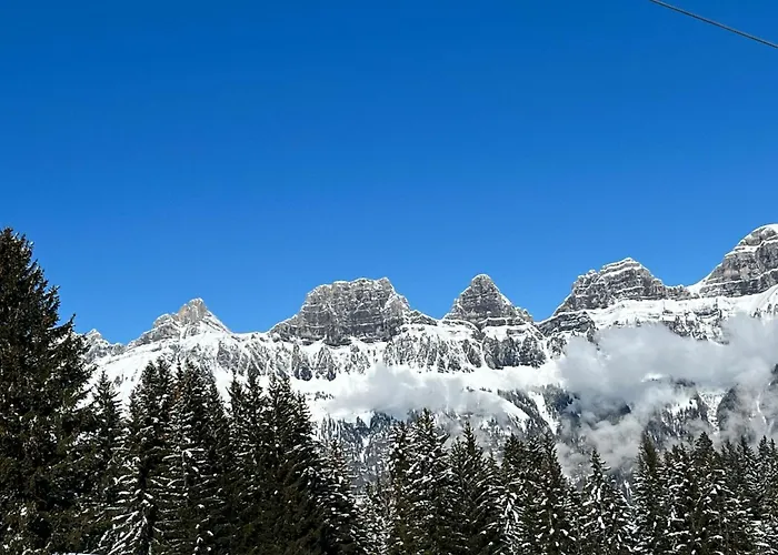 Sunnaehoeggli By Interhome * Flums