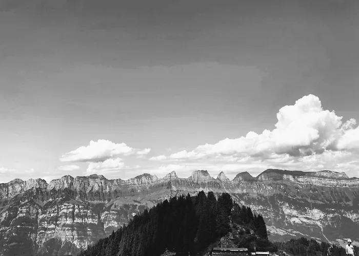 Prázdninový dům Sunnaehoeggli By Interhome *