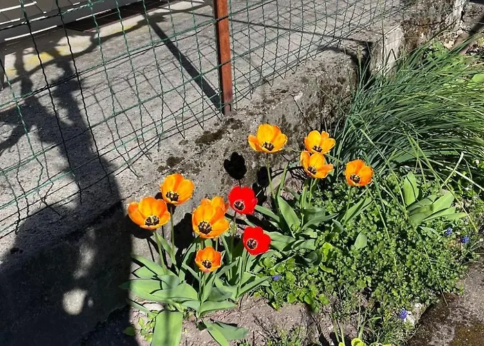 Prázdninový dům Sunnaehoeggli By Interhome